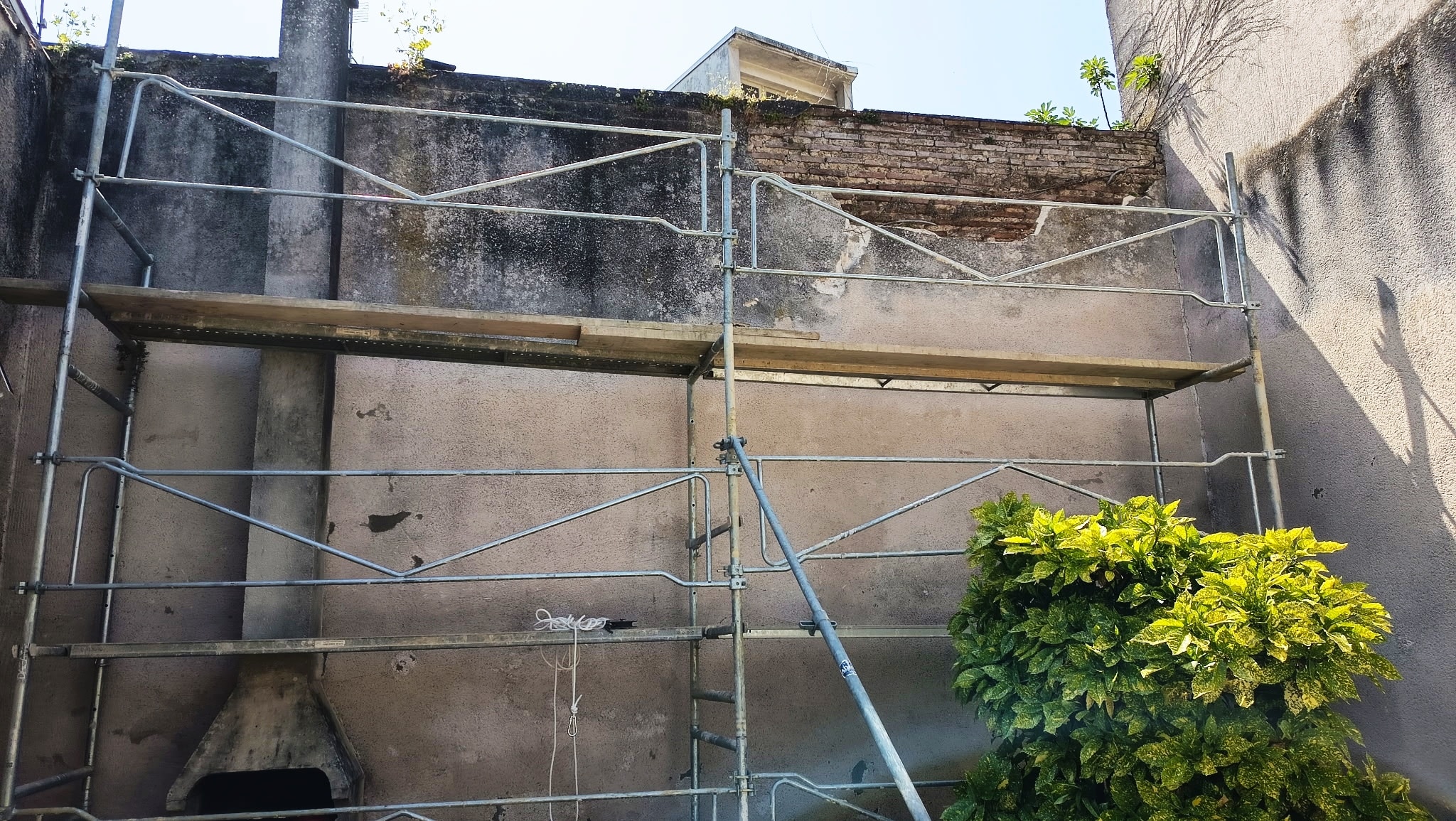 Échafaudage métallique devant un mur ancien en rénovation avec briques apparentes et une plante verte à droite.